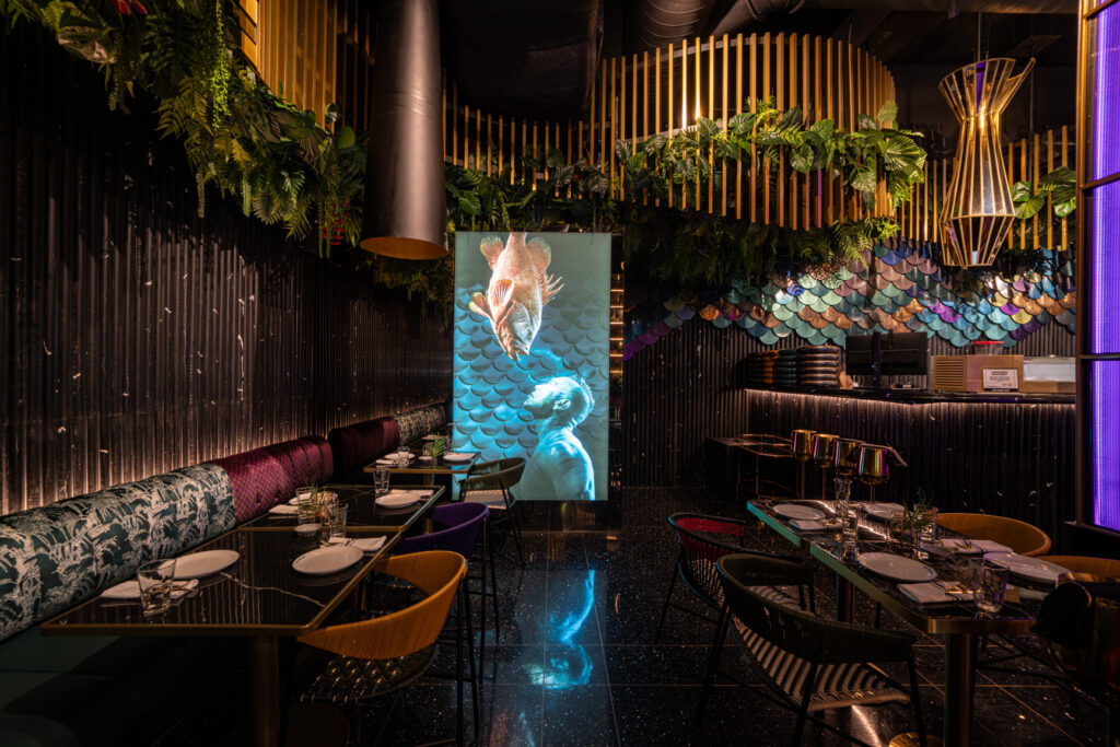 Miami Photographer services for restaurant bts